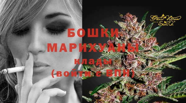 соль ск Переславль-Залесский