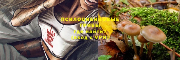 соль ск Пестово