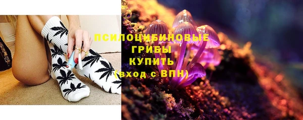 соль ск Переславль-Залесский