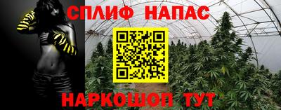 кокаин Новозыбков