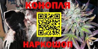 spice Новодвинск
