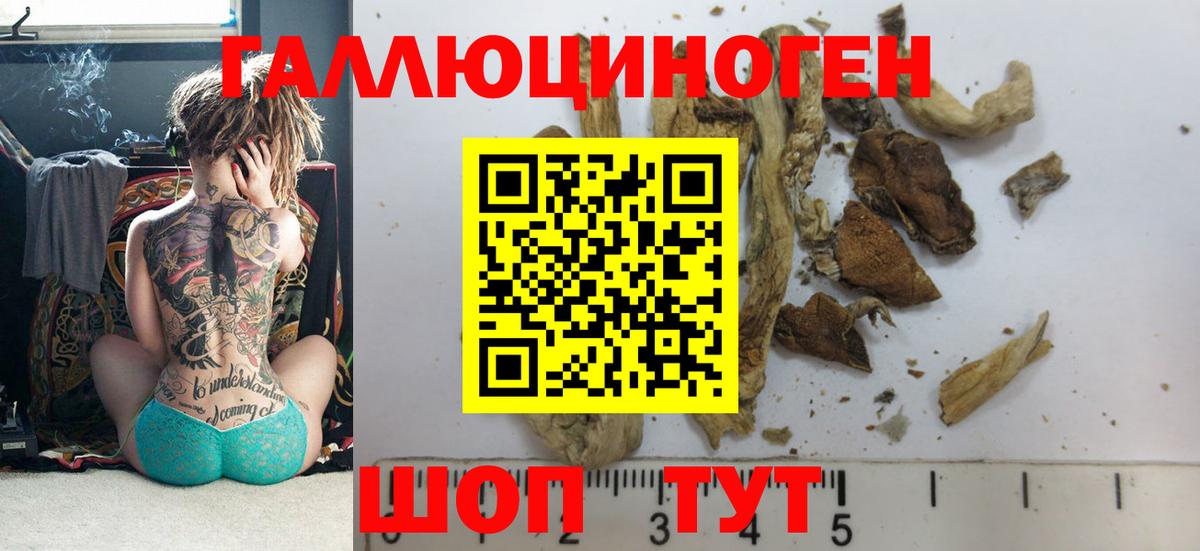 Галлюциногенные грибы GOLDEN TEACHER  Псилоцибиновые грибы мицелий  Чернушка  Вход с VPN 