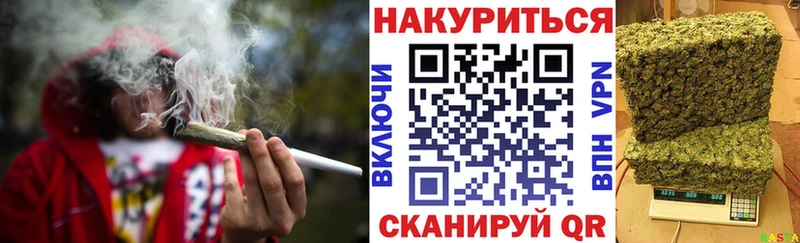 Каннабис сатива  купить   Чернушка 